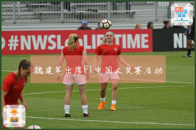 魏建军出席F1中国大奖赛活动