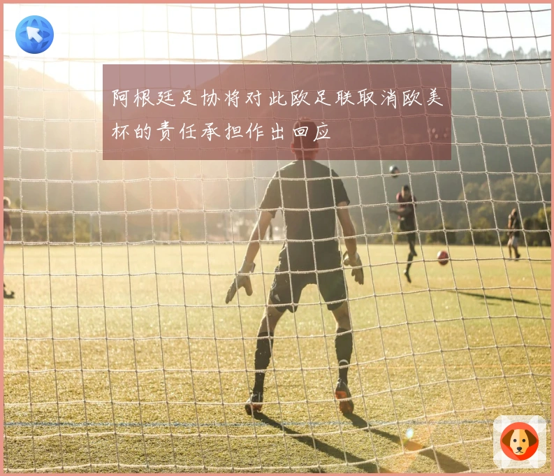 阿根廷足协将对此欧足联取消欧美杯的责任承担作出回应